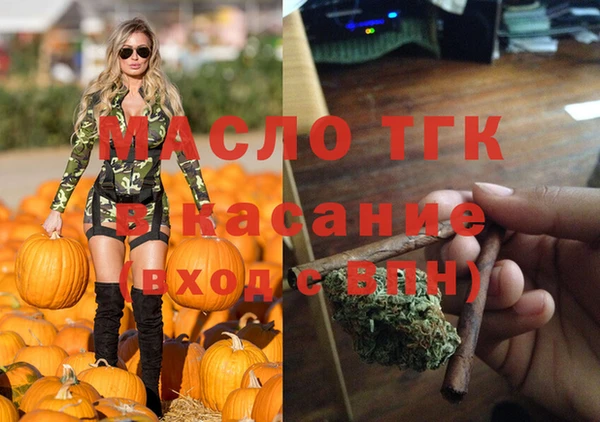 МДПВ Дмитриев