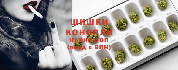 МДПВ Дмитриев