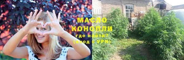 МДПВ Дмитриев