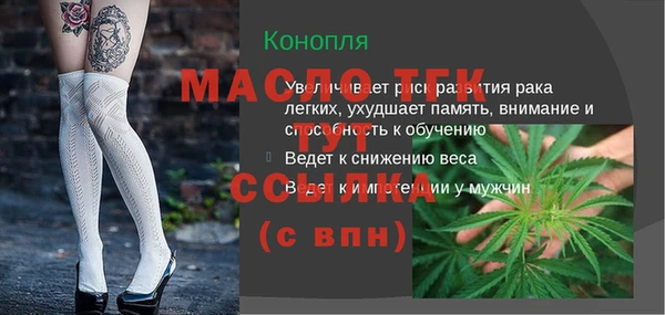сатива Дмитровск