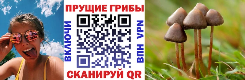 Галлюциногенные грибы GOLDEN TEACHER Омутнинск